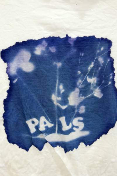 Photogram on fabric